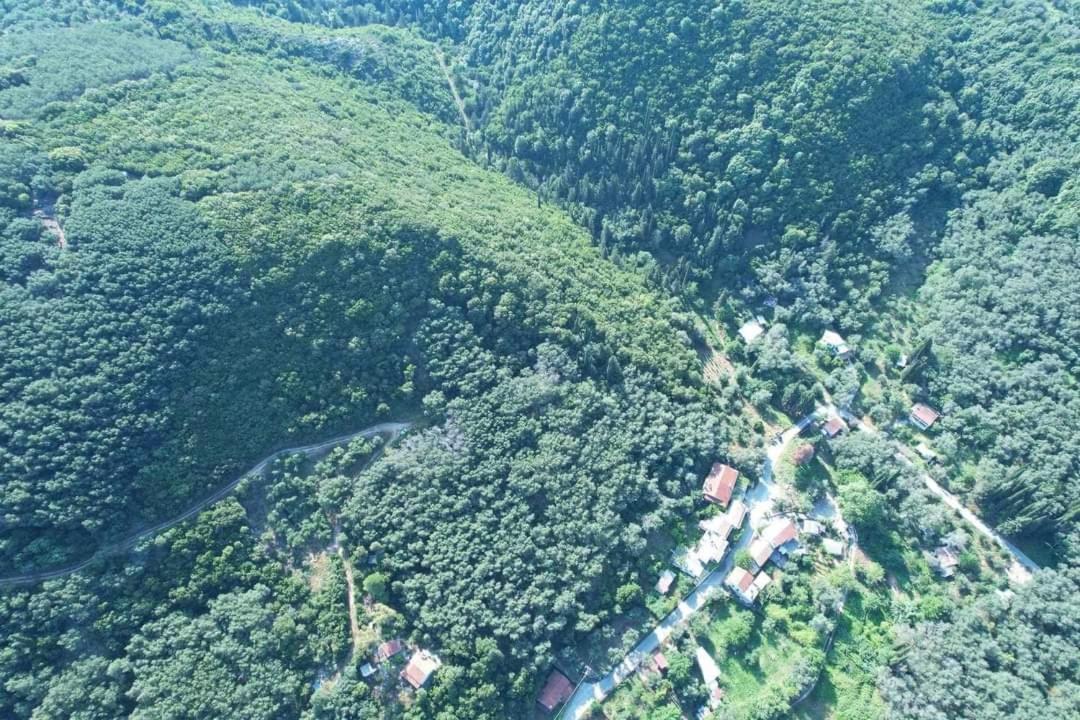منزل الضيف Klimatia  في Harry'S Retreat المظهر الخارجي الصورة